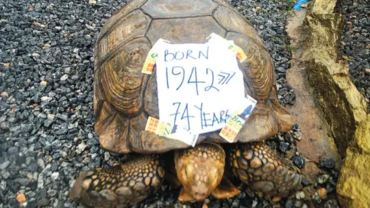 Nekede zoological garden, Owerri